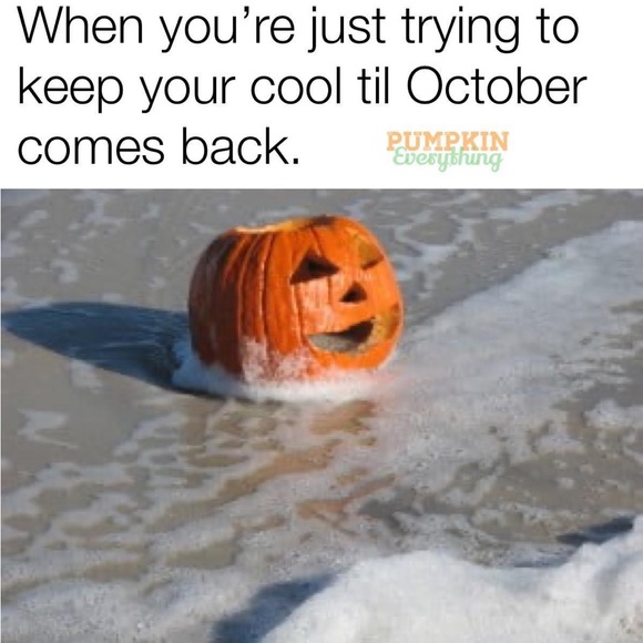 Meet the posher - Picture 4 of 6